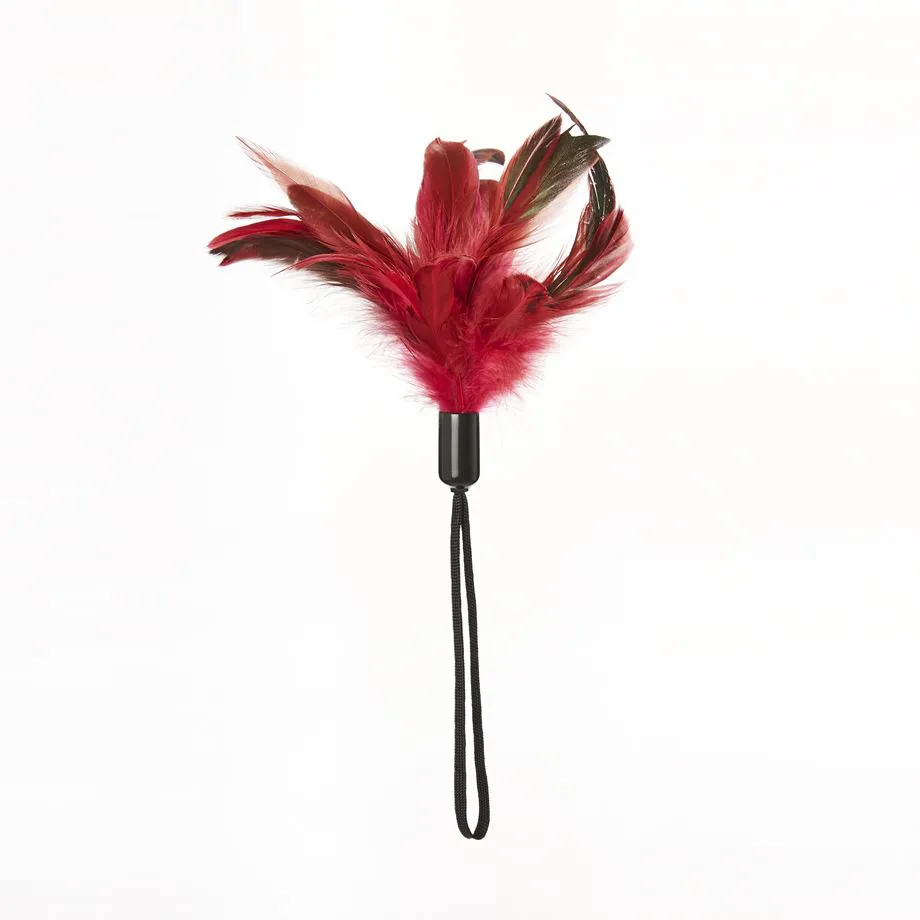 PLEASURE FEATHER