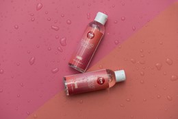 TOYFLUID 2