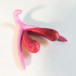 CLITORIS 3D Print